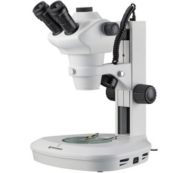 Микроскоп стереоскопический Bresser Science ETD-201 8–50x Trino - фото