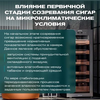 MEYVEL MC-200BK (PRO)