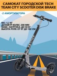 Самокат Tech Team City Scooter Disk Brake Grey - фото